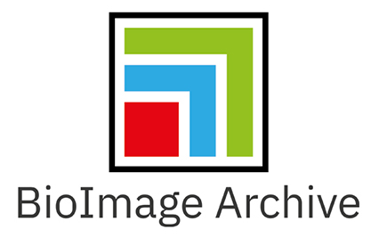 BioImage Archive logo